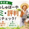 農家が笑顔で野菜を持ち、食材ボックスとともに「らでぃっしゅぼーや 口コミ・評判」を紹介する宅配サービスのアイキャッチ画像
